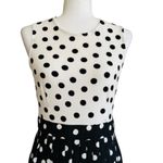 ZARA Dress Black White Ivory Contrast Polka Dots Sleeveless Pleated Midi Small Photo 2