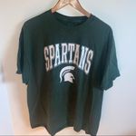 Michigan State University Photo 5