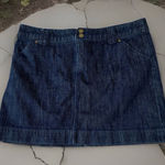 Lilly Pulitzer LILY PULITZER Indigo Denim Skirt Size 32  Palm Beach Fit Photo 0