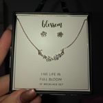 Earring and necklace set Photo 0