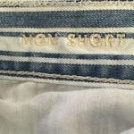 American Eagle Women's Blue Striped Denim Shorts Size 4 Mom Style Cuffed Hem Photo 2