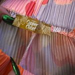 The Copper Closet Copper boutique closet shorts Photo 2