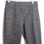 Sanctuary  x Anthropologie Runway Shimmer Leopard Leggings Size Small P Photo 3