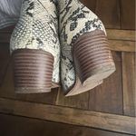 CL by Laundry  8 Photo 6