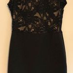 Lovely Day Black Lace Dress  Photo 0