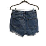 Free People We The Free Crvy Vintage High Rise Shorts Size 28 Button Fly Photo 1