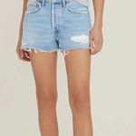 AGOLDE  Parker Denim Short in‎ Freewheeling, 28 Photo 0