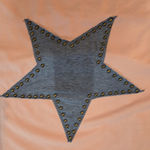 Plus Studded Star Graphic Oversized Pink Top Blouse Blue Star Size 2x Worn Once Photo 11