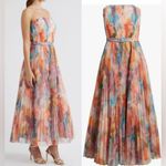 Hutch NWOT Strapless pleated Belted Chiffon Floral Maxi Dress sz 4 Photo 2