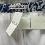 Abercrombie & Fitch  Blue & White Tiered Maxi Skirt XL NWT Photo 4