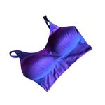 Victoria's Secret  On Point Blue and Purple Sports Bra Photo 2