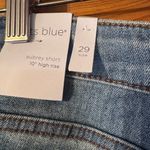 sts blue  Jean shorts Aubrey Shorts 10' size 29 Photo 3