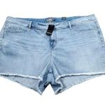 Torrid READ 3.5" Vintage Stretch High Rise Raw Hem Jean Shorts Plus Size 26 Photo 0