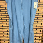 Terra & Sky  Blue Pull On Capris Size 3X Photo 0