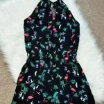 Loft Tropical Bird & Palm Tree Print Short Romper Small Photo 5