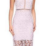 Bardot Revolve Gemma Lace Halter Sheath Dress in Orchid Size 4 XS Photo 2