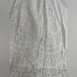 Banana Republic  Eyelet Maxi Skirt Floral Lined in New Off White Size LP NWT Photo 8