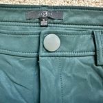 TJ Maxx Leather Skinny Pants Photo 1