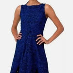 Leota  Women's Cynthia Sleeveless A-Line Dress Black/Blue, women size 2L‎ Photo 0