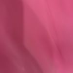 Aviator Nation  Crewneck Photo 1