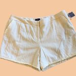 Kaari Blue Chino Shorts  Textured NWT Womens 14 Photo 0