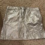 Forever 21 Metallic Skirt Photo 0