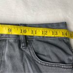 PacSun Shorts Size 28 High Rise Festival Women's Grey Frayed Photo 4