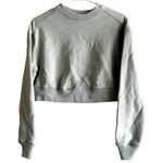 Everlane Crop Crew Sweatshirt Pullover Ribbed Trim Raglan Cotton Sage Green XS Photo 1