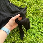 Free People Carmen Puff Sleeve Cropped Long Sleeve Blouse xs Photo 3