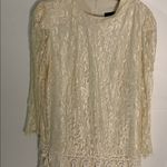 Chic Cream Lace Long Sleeve Dress Size 22W Photo 1