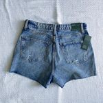 Wild Fable  Highest Rise Cutoff Jean Shorts Photo 1