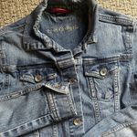 Austin Clothing Co Woman's Medium Jean Jacket‎ Blue Photo 1