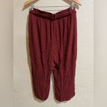 Torrid brick red comfy lightweight pants Photo 5