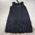 Ann Taylor Black Rhinestone Feather Hem Shift Dress 14 Party Cocktail Flapper Photo 10