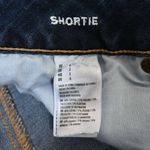 American Eagle Womens 2 Super Stretch Distressed Shortie Denim Shorts Photo 8