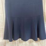 Ralph Lauren LAUREN  Navy with Cream Stripes Flare Bottom Shift Dress Size 10 Photo 6