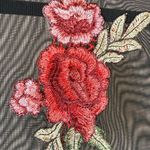 Sheer Black Mesh Peplum Top Red Rose Embroidery Roses Fairygoth Whimsigoth Small Photo 5