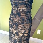 Ricki Freeman for Teri Jon strapless silk cocktail dress Size 8 tan/black Photo 1