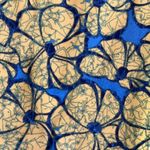 LuLaRoe Women's  Yellow Blue Floral Flowers Leggings Size O/S EUC #1187 Photo 2