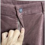 Nic Zoe Womens Size 34 Velvet Straight Leg Ankle Pant Chai Purple Career NEW Photo 3