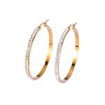 Fashion Hoop Gold plated Earrings Photo 2