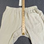 Eileen Fisher The System Silk Georgette Crepe Straight Ankle Pants Photo 5