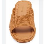 CARRIE FORBES Port Raffia Kitten Photo 5