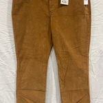 Gloria Vanderbilt  Amanda Slim Corduroy Jeans Womens 18 Petite Cider Spice Photo 0