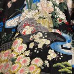 Citron Santa Monica Silk Oriental Japanese button up top 100%silk size 1X Black Photo 5