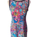 Lilly Pulitzer  Francesca Sleeveless Dress Size Small Photo 0