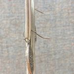 Sparkling Two Tone Round Medallion Pave Crystal Rhinestone Drop Dangly Earrings Silver Photo 4