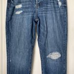 Loft  Boyfriend Distressed Classic Blue Denim Jeans size 30/10 Photo 9