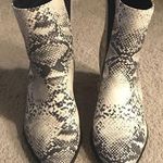 Qupid Snakeskin Booties Photo 0