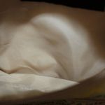 Robin Ruth  Jamaica Crossbody Purse Photo 4